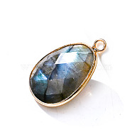 Natural Labradorite Pendants, Faceted Teardrop Charms, Golden, 23x18mm(PW-WG32281-07)