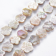 Electroplated Natural Freshwater Shell Beads Strands, Flower, Seashell Color, 11~14x11.5~14x2~3.5mm, Hole: 0.6mm, about 30pcs/strand, 14.37 inch~14.76 inch(36.5~37.5cm)(SHEL-N026-164)