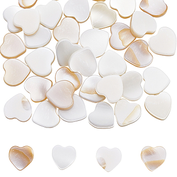 2 Strands Natural Freshwater Shell Beads Strands, Heart, Creamy White, 8x8x3mm, Hole: 0.8mm, about 44pcs/strand, 14.37 inch(36.5~37cm)