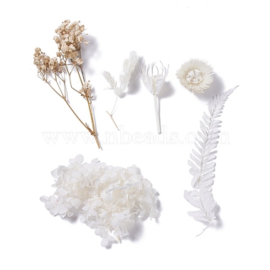 Dried Flowers(X-DIY-D052-04)-2