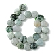 Natural Myanmar Jadeite Beads Strands(G-A092-A01-02)-3