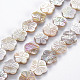 Electroplated Natural Freshwater Shell Beads Strands(SHEL-N026-164)-1