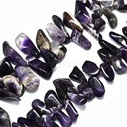 Natural Amethyst Strands Beads, Top Drilled, Nuggets, 17~48x8~25x5~18mm, Hole: 0.8mm, about 31~44pcs/strand, 9.84 inch~11.42 inch(25~29cm)(G-R485-06B)