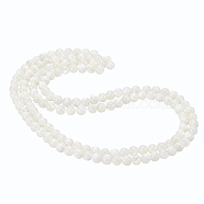 2 Strands Natural Trochid Shell/Trochus Shell Beads Strands, Round, Seashell Color, 6mm, Hole: 0.8mm, about 71pcs/strand, 15.75 inch(40cm)(BSHE-BC0001-07)