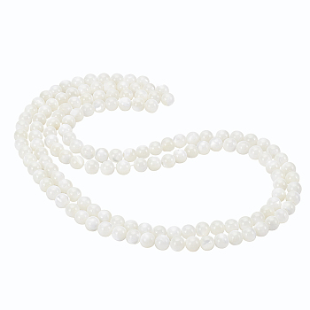 2 Strands Natural Trochid Shell/Trochus Shell Beads Strands, Round, Seashell Color, 6mm, Hole: 0.8mm, about 71pcs/strand, 15.75 inch(40cm)