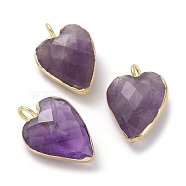 Natural Amethyst Pendants, Faceted Heart Charms, with Golden Plated Brass Edge Loops, 18x12x6mm, Hole: 3mm(G-G012-11G-08)