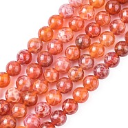 Natural Fire Crackle Agate Beads Strands, Dyed & Heated, Round, 8mm, Hole: 1mm, about 49pcs/strand, 15.75 inch(G-G212-8mm-10)