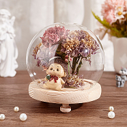 Elite 1Pc Glass Dome Cover, Decorative Display Case, Round Bell Jar Terrarium with Wood Base, Clear, 120mm(DJEW-PH0001-40)