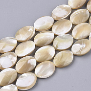 Natural Trochid Shell/Trochus Shell Beads Strands, Oval, 18x13.5x4~6mm, Hole: 0.7mm, about 22pcs/Strand, 15.79 inch(40.1cm) (SSHEL-N032-05)