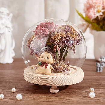 Elite 1Pc Glass Dome Cover, Decorative Display Case, Round Bell Jar Terrarium with Wood Base, Clear, 120mm