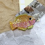Ocean Theme Acrylic Claw Hair Clips, Fish, Sandy Brown, 47x80x47mm(PHAR-P012-B03)