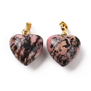 Natural Rhodonite Pendants, with Golden Tone Brass Findings, Heart Charm, 18x15~15.5x6~8mm, Hole: 6x3mm(G-I311-A14-G)