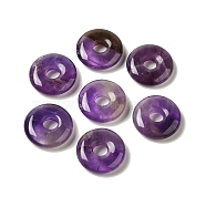 Natural Amethyst Pendants, Donut/Pi Disc Charms, 15~16x4~5mm, Hole: 4~5mm(G-C066-02I)