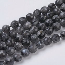 Natural Larvikite Beads Strands, Faceted, Round, Gray, 6mm, Hole: 1mm, about 63pcs/strand, 15.55 inch(G-G542-6mm-27)