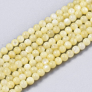 Natural Freshwater Shell Beads Strands, Dyed, Round, Champagne Yellow, 2.5mm, Hole: 0.7mm, about 150~190pcs/Strand, 14.96 inch~15.75 inch(BSHE-T009-01E)