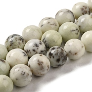 Natural Dendritic Jasper Beads Strands, Round, 12~12.5mm, Hole: 1.8mm, about 32pcs/strand, 15.51''(39.4cm)(G-H298-A15-05)