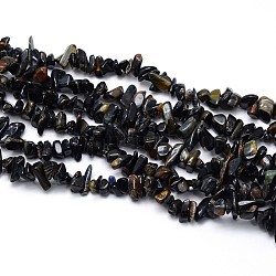 Blue Tiger Eye Beads Strands, Chips, 5~8x5~8mm, Hole: 1mm, about 31.5 inch(G-O049-30)