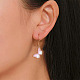 Crochets de boucles d'oreilles en fer(X-E135-NFG)-6