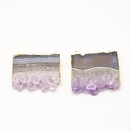 Rectangle Natural Amethyst Pendants, with Brass Findings, Golden, 31~41x40x8mm, Hole: 2mm(G-L447-01)