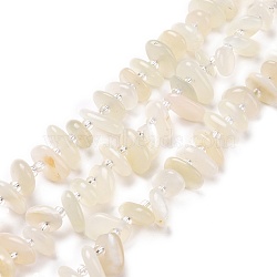 Natural White Moonstone Beads Strands, Chip, 5~18x3~9x2~5mm, Hole: 1mm, about 67~69pcs/strand, 15.55''(39.5~40cm)(G-D480-A16-03)