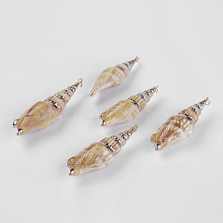 Natural Spiral Shell Big Pendants, with Brass Findings, 57.5~70.5x16~25x15.5~18mm, Hole: 3~3.5mm(SSHEL-K023-01)