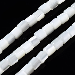 Natural Trochid Shell/Trochus Shell Beads Strands, Bleach, Column, Seashell Color, 3.5x3.5mm, Hole: 1mm, about 111~117pcs/strand, 15.35 inch~15.94 inch(39~40.5cm)(SSHEL-N034-77-A01)