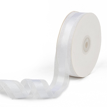 Solid Color Organza Ribbons, for Party Decoration, Gift Packing, Silver, 1"(25mm), about 50yard/roll(45.72m/roll)