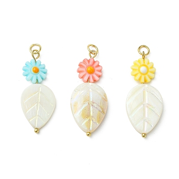 Natural Freshwater Shell Carved Pendants, Flower Leaf Charms, with 304 Stainless Findings, Golden, Mixed Dyed and Undyed, Mixed Color, 34~35.5x13.5~15x3mm, Hole: 3mm