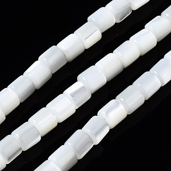Natural Trochid Shell/Trochus Shell Beads Strands, Bleach, Column, Seashell Color, 3.5x3.5mm, Hole: 1mm, about 111~117pcs/strand, 15.35 inch~15.94 inch(39~40.5cm)