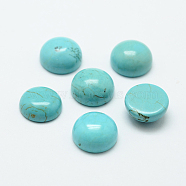 Natural Howlite Cabochons, Dyed & Heated, Half Round/Dome, Turquoise, 12x6mm(TURQ-G147-01)