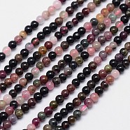 Natural Tourmaline Round Bead Strands, 3mm, Hole: 1mm, about 141pcs/strand, 15.5 inch(X-G-I162-01-3mm)