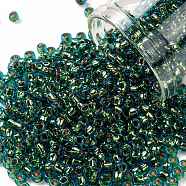 TOHO Round Seed Beads, Japanese Seed Beads, (756) 24K Gold Lined Aquamarine, 8/0, 3mm, Hole: 1mm, about 10000pcs/pound(SEED-TR08-0756)