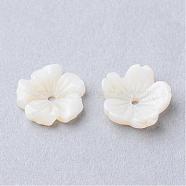 Natural Sea Shell Beads, Flower, Creamy White, 9.5x10x3mm, Hole: 0.5mm(SSHEL-S250-14)