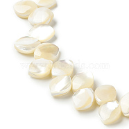 Natural Trochid Shell/Trochus Shell Beads Strands, Leaf, Beige, 10.5x8x3.8mm, Hole: 0.9mm, about 69pcs/strand, 16.93 inch(43cm)(SHEL-F004-09)
