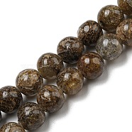 Natural Golden Leaf Jasper Beads Strands, Round, 6mm, Hole: 0.8mm, about 64pcs/strand, 15.35''(39cm)(G-R494-A20-02)