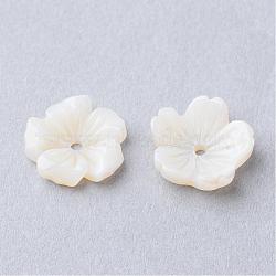 Natural Sea Shell Beads, Flower, Creamy White, 9.5x10x3mm, Hole: 0.5mm(SSHEL-S250-14)