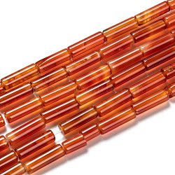Natural Carnelian Beads Strands, Dyed & Heated, Column, Red, 11.5~14.5x4~4.5mm, Hole: 1.4mm, about 29pcs/strand, 15.39 inch(39.1~41cm)(G-F247-40)