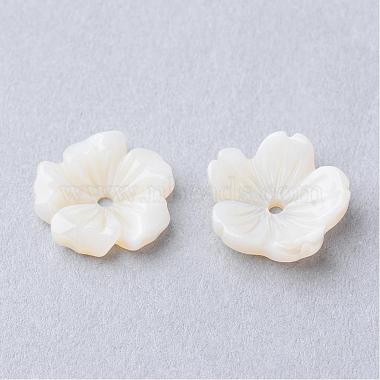 10mm Ivory Flower Other Sea Shell Beads