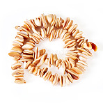 1 Strand Natural Seashell Shell Beads Strands, Dyed, Nuggets, Wheat, 2.5~6x9~17.5x9~11mm, Hole: 0.8mm(SSHEL-TA0001-13)