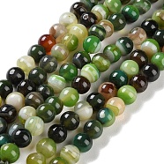 Natural Striped Agate/Banded Agate Beads Strands, Dyed, Round, Green, 6mm, Hole: 0.8mm, about 32pcs/strand, 7.60''(19.3cm)(G-Z060-A01-A04)