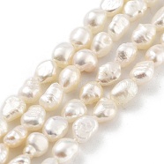 Natural Cultured Freshwater Pearl Beads Strands, Two Sides Polished, Grade 3A, Snow, 5~6mm, Hole: 0.5mm, about 27pcs/strand, 6.89 inch(17.5cm)(PEAR-P062-32C)