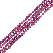 2 Strands Natural Garnet Bead Strands, Grade AA, Faceted, Round, 3mm, Hole: 0.5mm, about 163pcs/strand, 15.5''(39.37cm)(G-NB0004-16)