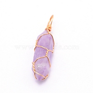 Natural Amethyst Pendants, with Golden Steel Wire, Hexagon Prism, 43x11x11mm, Hole: 5mm(G-CJC0001-02G-07)