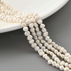 Natural Cultured Freshwater Pearl Beads Strands, Two Sides Polished, Grade B, Cornsilk, 2~3mm, Hole: 0.5mm, about 53pcs/strand, 7.09''(18cm)(PEAR-A006-01A)