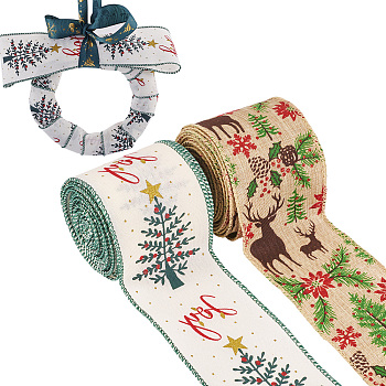 10 Yards 2 Colors Christmas Theme Jute Cord, Flat, Mixed Color, 62mm, 5 yards(4.57m)/color