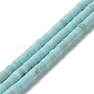 Natural Howlite Beads Strands, Dyed, Flat Round/Disc, Heishi Beads, 6~6.5x3~3.5mm, Hole: 1mm, about 116~117pcs/strand, 15.43~15.55''(39.2~39.5cm)(G-E604-A04-B)