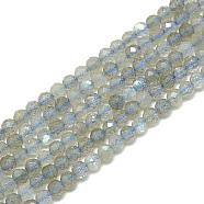 Natural Labradorite Beads Strands, Faceted, Round, 3~3.5mm, Hole: 0.3mm, about 128pcs/strand, 14.9 inch(X-G-S300-23-3mm)