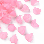 Transparent Acrylic Bead Caps, Trumpet Flower Beads, Frosted, Flower, Pink, 18x18x17mm, Hole: 1.5mm, about 700pcs/500g(PL551-C10)