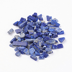 Natural Lapis Lazuli Beads, No Hole/Undrilled, Chips, 5~8x2~5mm, about 50g/bag(G-J370-06)
