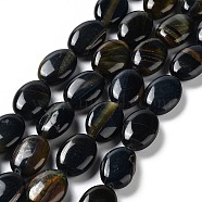 Natural Blue Tiger Eye Beads Strands, Dyed, Flat Oval, 17.5~18x12.5~13x6mm, Hole: 1.2mm, about 22pcs/strand, 15.55''(39.5cm)(G-L164-A-23)